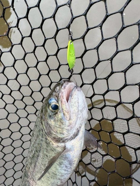 ワールドチャンプ01