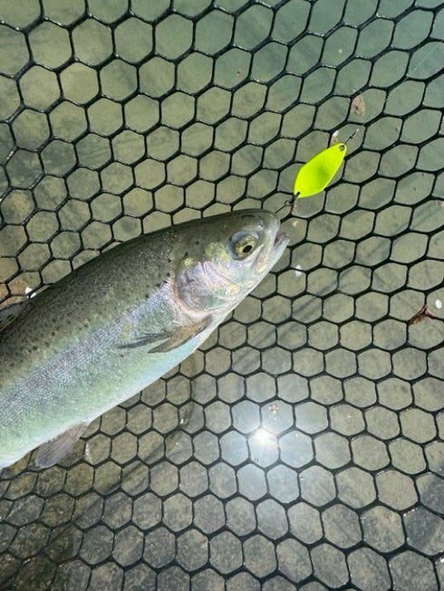 ワールドチャンプ01